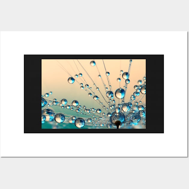 Crazy Dandy Drops II Wall Art by SharonJ